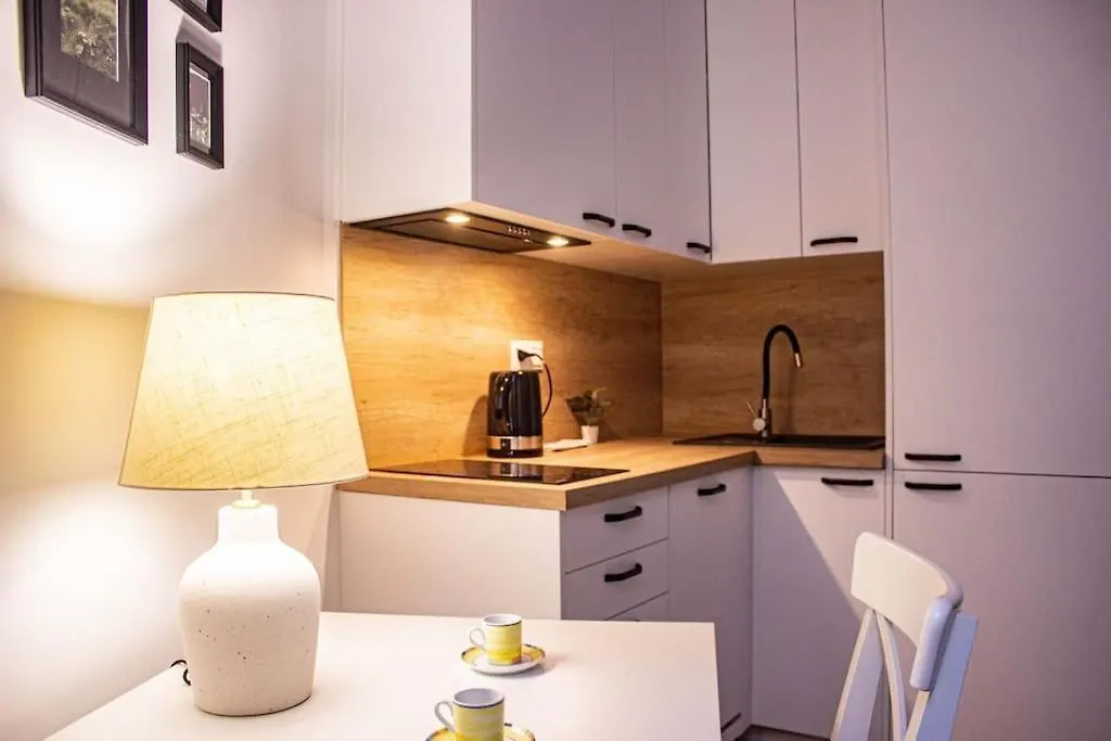 Nowoczesne Studio W Сentrum Warszawa Apartament